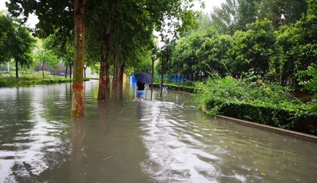 灾难现场-2 灾难现场-2