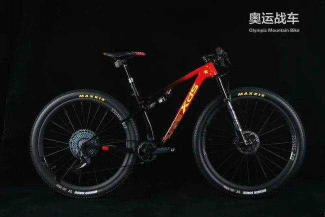 深圳喜德盛山地自行车